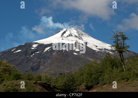 Volcan Villarrica La Araucania Cile Foto Stock