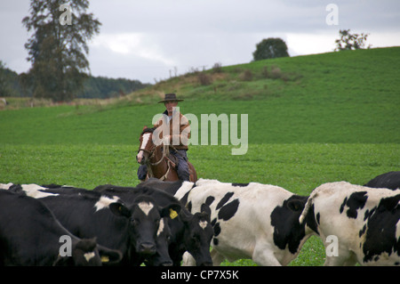 Gaucho di radunare il bestiame Lake District Cile Foto Stock