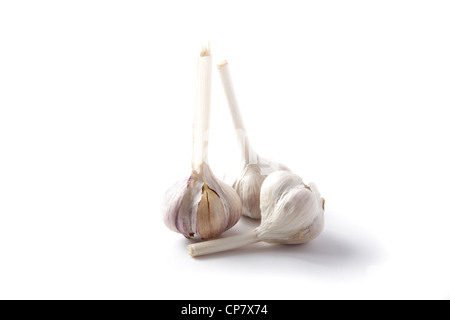 Mazzetto aglio isolato su uno sfondo bianco Foto Stock