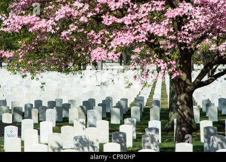 Beverly Cimitero Nazionale, Beverly, New Jersey Foto Stock