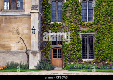 Il Trinity College di Cambridge, Inghilterra Foto Stock