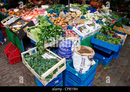 Ortaggi per la vendita su un mercato in stallo in Cambridge, Inghilterra Foto Stock