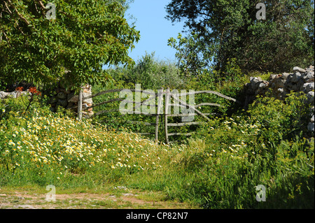 Tradizionale gate Menorcan realizzata in legno d'ulivo accanto alla Cami de Cavalls in Menorca Foto Stock