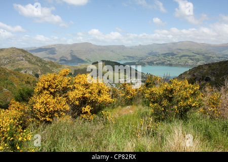 Lyttelton, Nuova Zelanda. Porto come si vede da Mount Pleasant Foto Stock