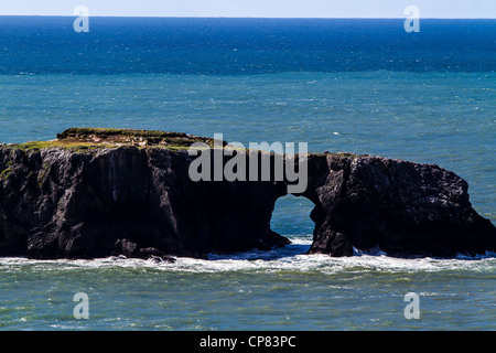 Scene di capra stato Rock Beach nella contea di Sonoma presso la foce del fiume russo Foto Stock