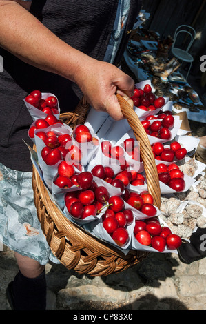 Le ciliege fresche in un cestello per la vendita in un mercato, Pocitelj, Bosnia, Europa Foto Stock