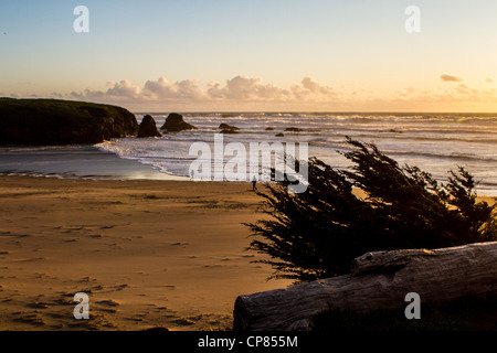 La spiaggia al tramonto in Fort Bragg California Foto Stock