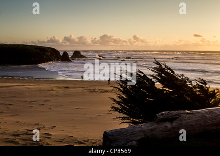 La spiaggia al tramonto in Fort Bragg California Foto Stock