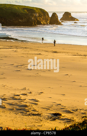 La spiaggia al tramonto in Fort Bragg California Foto Stock