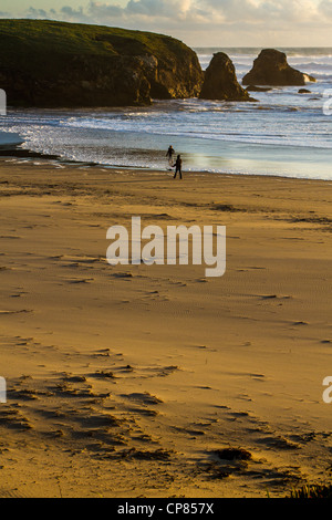 La spiaggia di Pudding Creek al tramonto a Fort Bragg, California, sull'autostrada 1 a nord di San Francisco Foto Stock