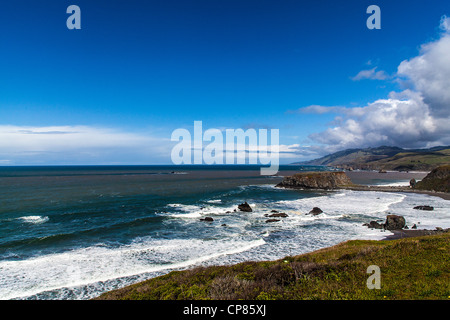 Il deflusso dei sedimenti alla foce del fiume russo in Sonoma County in California del Nord e la costa Foto Stock