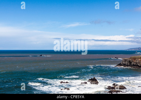 I sedimenti il flusso del fiume russo nell'Oceano Pacifico in Sonoma County in California Foto Stock
