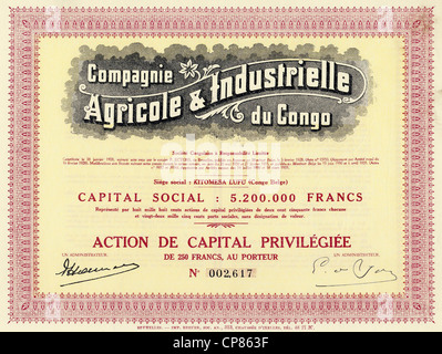 Coloniale storico certificato azionario, agricoltura e industria, 1935, BRUXELLES, 250 franchi belgi, Belgio, Europa, Compagnie in Foto Stock