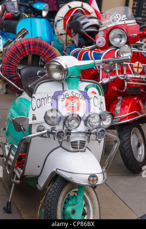 Scooter club nel rally di Cambridge, Inghilterra. Foto Stock