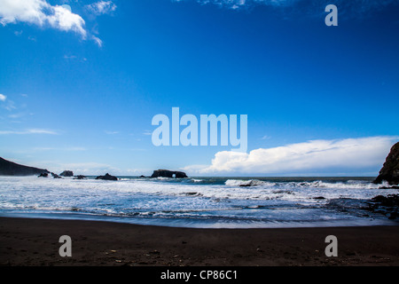 Scene di capra stato di roccia Spiaggia presso la foce del fiume russo nella contea di Sonoma sul litorale del nord della California Foto Stock