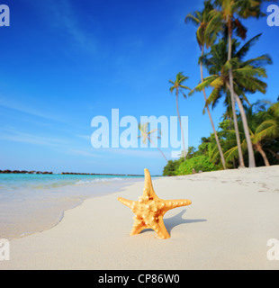 Paradiso tropicale delle Maldive con stella di mare sulla spiaggia e mare turchese Foto Stock