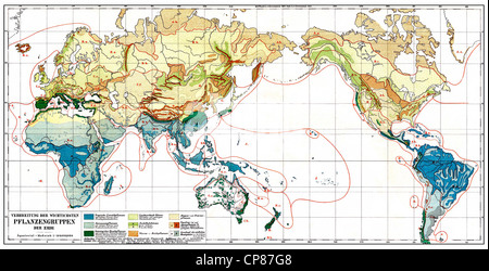 Mappa di distribuzione dei gruppi di piante sulla terra, sommario della distribuzione della giungla, savana, steppa, tundra, prati, brughiera, Foto Stock