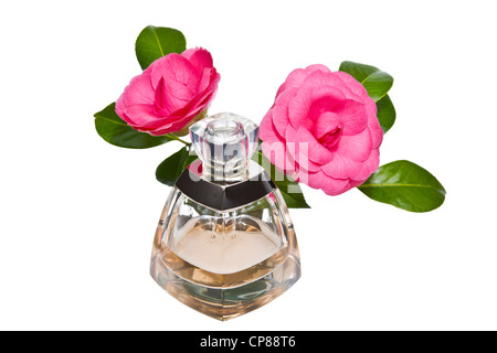 Colore dorato Profumo bottiglia con fiori di colore rosa su sfondo bianco Foto Stock