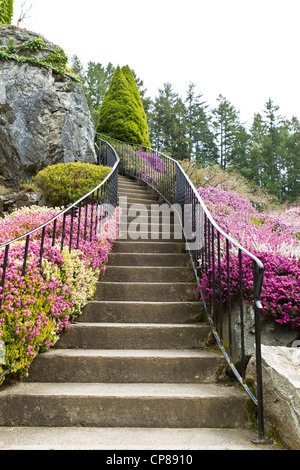 La scala è circondato da fiori che conduce nel bosco Foto Stock