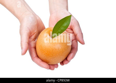 Fresh Apple pera che si terrà a mani aperte su sfondo bianco Foto Stock