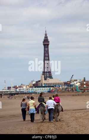 Asini passeggiate sulla spiaggia a Blackpool Foto Stock