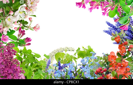 Cartoline collage mix di sfondo dal primo maggio fiori di primavera. Isolato su bianco. Foto Stock