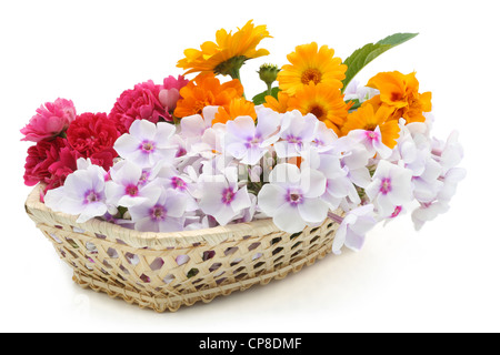 Le estati fiori freschi in un cestello isolato su bianco Foto Stock