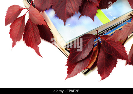 Libri e riviste con la rossa foglie di autunno cartolina. Isolato su bianco. Foto Stock