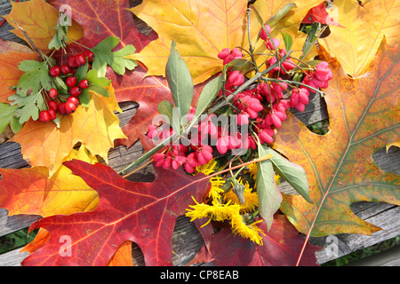 Lo sfondo da foglie di autunno e frutti su una superficie in legno Foto Stock