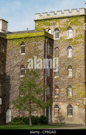 Un edera edificio coperto a St Johns College di Cambridge, Inghilterra. Foto Stock