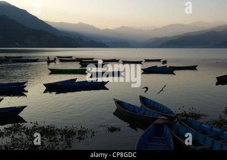 Lago Phewa, Pokhara, Nepal Foto Stock