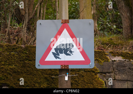 Attenzione delle rane cartello stradale Foto Stock