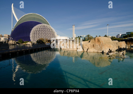 Gabbia per uccelli presso l oceanografia Foto Stock