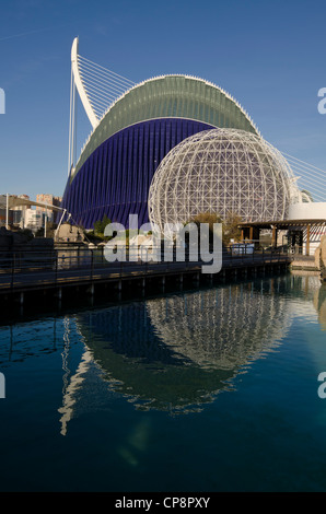 Gabbia per uccelli presso l oceanografia Foto Stock