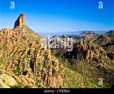 Tessitore ago è nella superstizione Mountain Wilderness Area est del Phoenix. Foto Stock