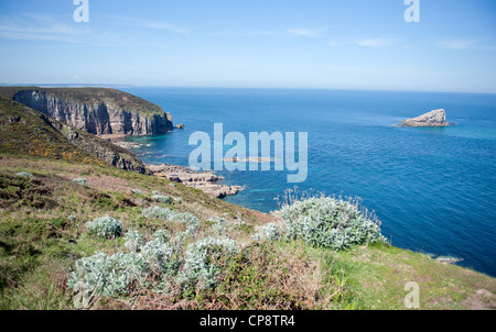 Cliff coast a Cap Fréhel sulla Côte d'Émeraude sulla costa nord della Bretagna, Francia, vicino a Saint-Malo Foto Stock