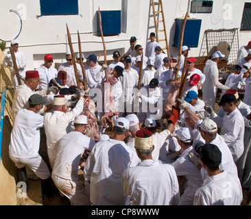 I membri dell'antica comunità samaritana durante la Pasqua tradizionale sacrificio nel monte Gherizim vicino a Nablus Foto Stock