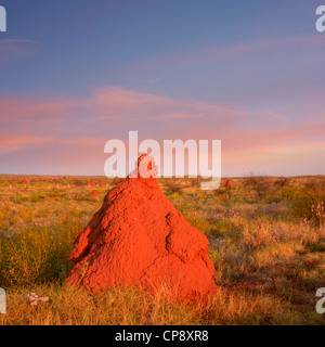 Rossa gigante termite mound in outback Australia occidentale catturare gli ultimi raggi di sole. Decine di altri tumuli può essere visto nel di Foto Stock