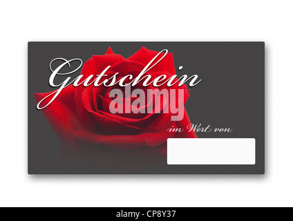 Scheda coupon con red rose contro uno sfondo bianco, close up Foto Stock