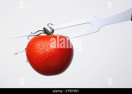 Il pomodoro pugnalato nella forcella contro uno sfondo bianco Foto Stock