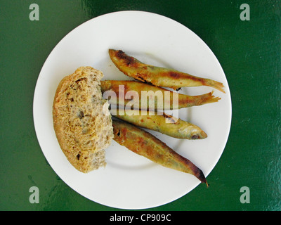 La cucina greca. Semplice Meze ( Starter ) Dakos cretese. Orzo Rusk (Paximadi) con le sarde Foto Stock