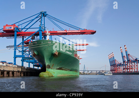 Terminal per container Burchardkai e Euro Gate, il porto di Amburgo, Germania Foto Stock