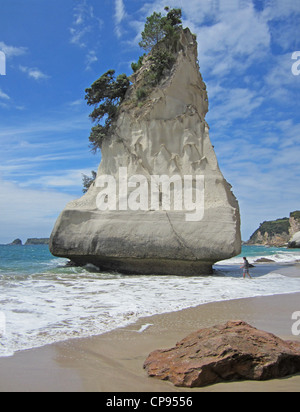 Te Whanganui-A-Hei, o Cove della cattedrale, Sulla Coromandel Penisular, Nuova Zelanda. Foto Stock