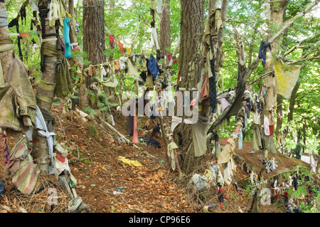 Il Clootie bene, vicino a Munlochy sulla Black Isle, Ross-shire, Scozia. Foto Stock