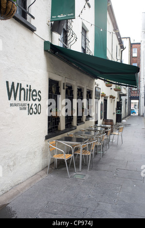 I bianchi Taverna Wincellar entrata Belfast Foto Stock