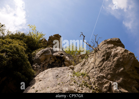 Creswell Crags Limestone Gorge, , Derbyshire, Inghilterra. Foto Stock