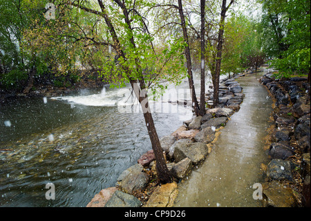 L'Arkansas River, inizio maggio tempesta di neve, attraversa il centro storico cittadino, piccolo paese di montagna di salida, Colorado Foto Stock