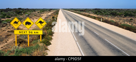 Attraversamento della fauna selvatica segno su Eyre Highway, Sud Australia Foto Stock