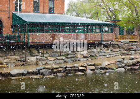 Il Boathouse cantina del ristorante e del bar si affaccia sul fiume Arkansas. I primi di maggio tormenta, centro storico cittadino, Salida, CO Foto Stock