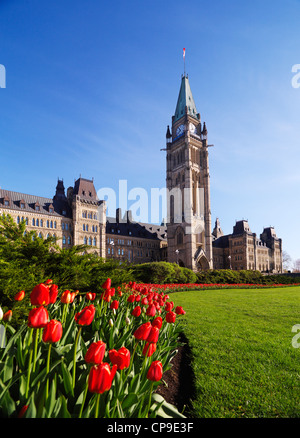 Tulip festival. Il Palazzo del Parlamento. Ottawa, Ontario, Canada primavera scenic Maggio 2012 Foto Stock